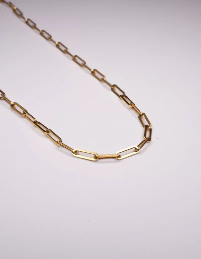 Lost Gold Chain